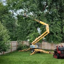 Best Leaf Removal Services  in Indiana, PA